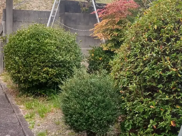 ◆職人歴20年の経験と実績◆年中無休◆完全自社施工◆仕上がり保証ありサービスの画像