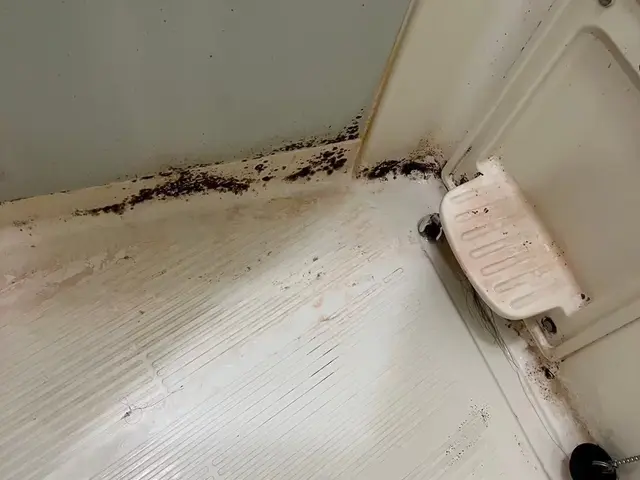 年末の大掃除をプロの手でピカピカに☆12月は予約がなかなか取れないのでお早めに♪サービスの画像