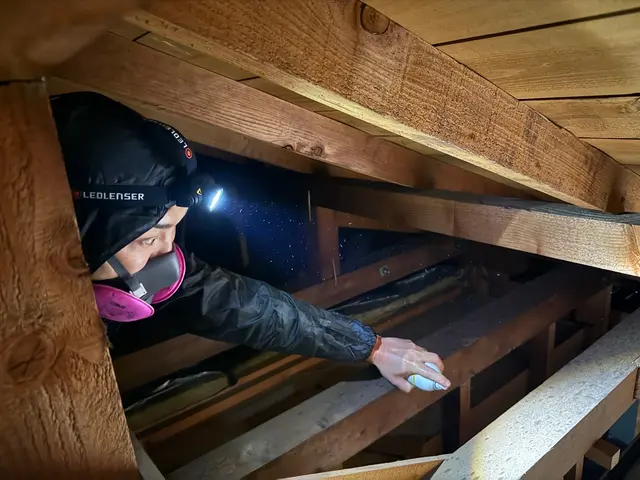 【駆除歴8年目】適正価格保証　即日対応可　是非一度お問い合わせください！サービスの画像