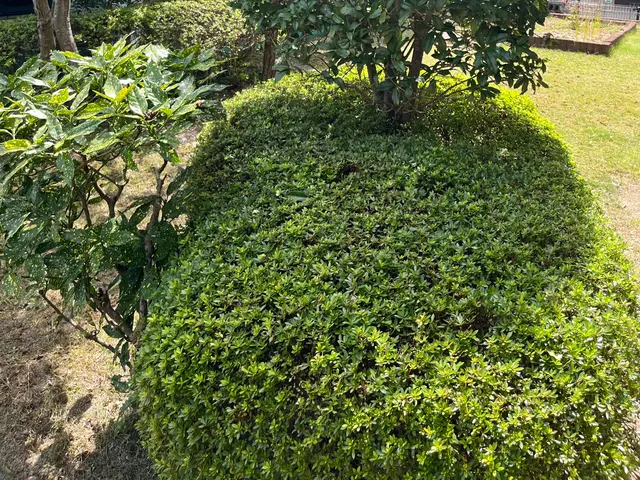 お客様のご要望を事前にお聞きした上で作業を行いご満足頂ける仕上がりをおこないますサービスの画像