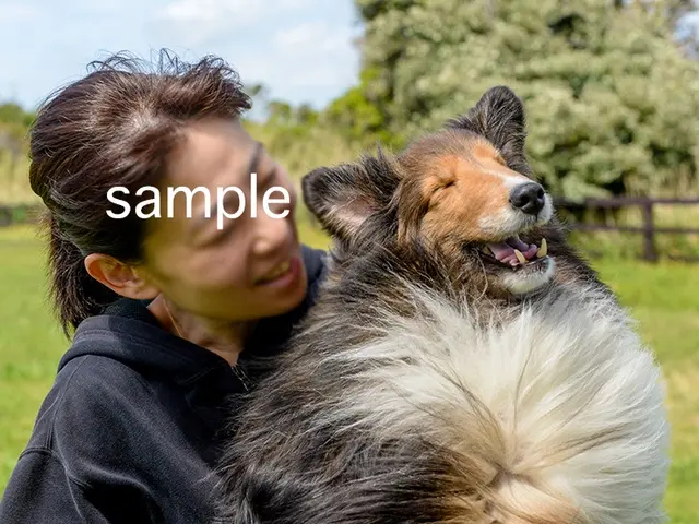 ペットちゃんとご家族の楽しいひと時を撮影いたします。サービスの画像