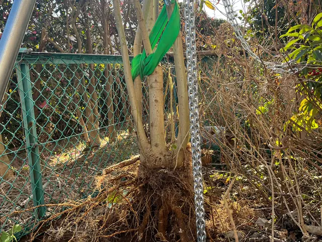 キャンペーン対象業種！1万円で1000円オフ4年の実績で1000件超！コスパ抜群サービスの画像