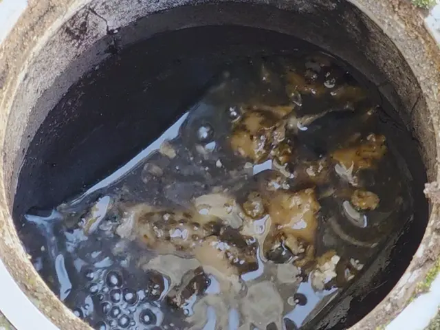 年間1000件の詰まりを解消！室外から室内まで【臭い汚れ】を根こそぎ洗浄します！サービスの画像