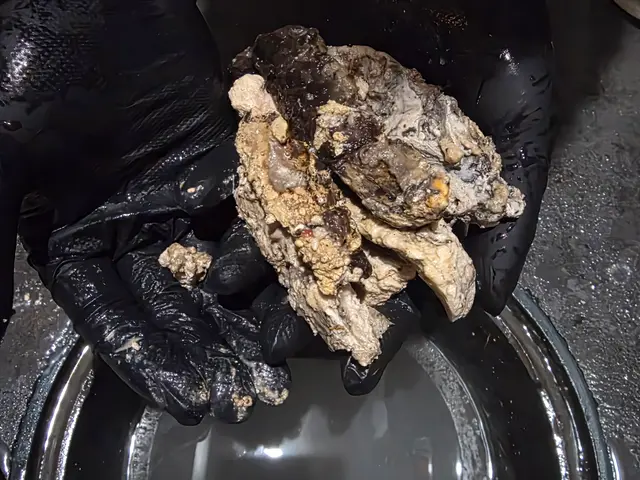 年間1000件の詰まりを解消！室外から室内まで【臭い汚れ】を根こそぎ洗浄します！サービスの画像