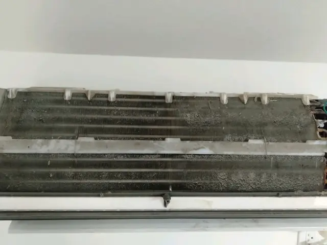 インボイス登録店★体に優しいエコ洗剤使用☆年間1000台以上の実績サービスの画像