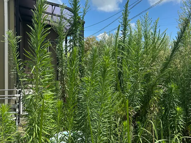 お客様のお力になります！経験と知識を活かして迅速丁寧に作業いたしますサービスの画像