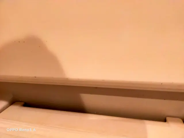 プロの技術でご満足いただけるように心を込めて作業いたしますサービスの画像