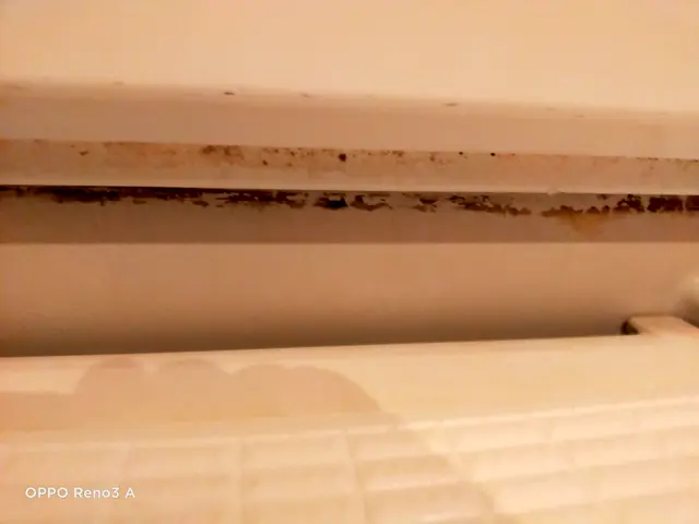 プロの技術でご満足いただけるように心を込めて作業いたしますサービスの画像