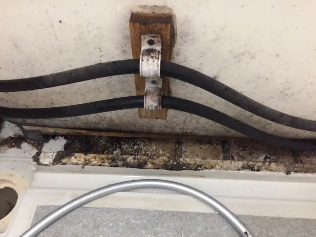 ★口コミ高評価店舗★ガンコな汚れはプロにおまかせ☆赤ちゃん妊婦さんも安心入浴♫サービスの画像