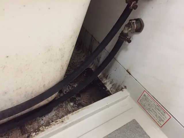 ★口コミ高評価店舗★ガンコな汚れはプロにおまかせ☆赤ちゃん妊婦さんも安心入浴♫サービスの画像