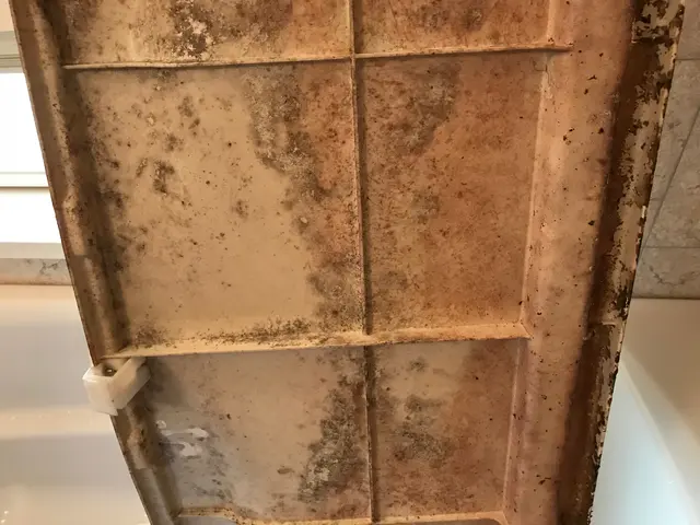 ★口コミ高評価店舗★ガンコな汚れはプロにおまかせ☆赤ちゃん妊婦さんも安心入浴♫サービスの画像