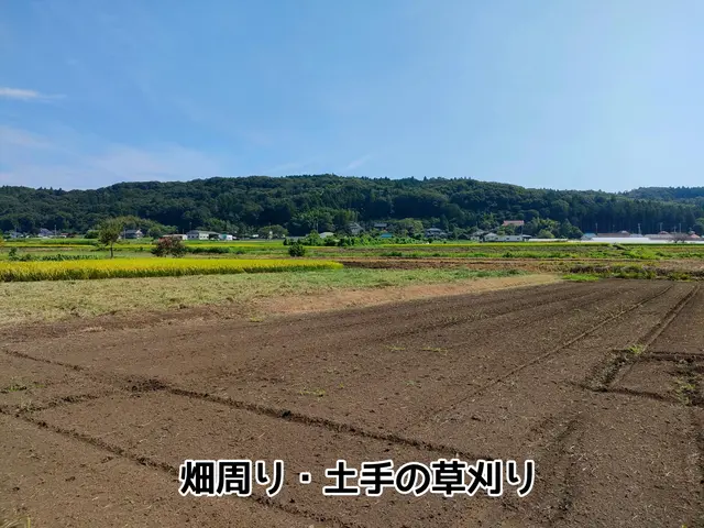 企業・お庭・空き地・墓地・太陽光発電敷地・田んぼや畑など【年間管理もご対応可能】サービスの画像