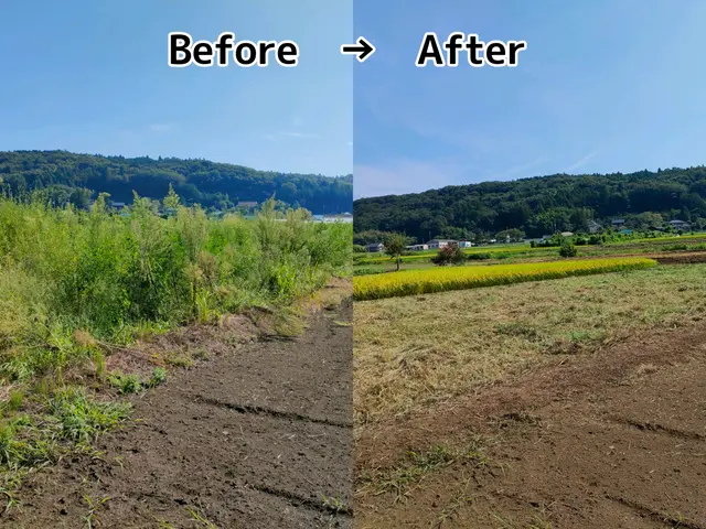 企業・お庭・空き地・墓地・太陽光発電敷地・田んぼや畑など【年間管理もご対応可能】サービスの画像
