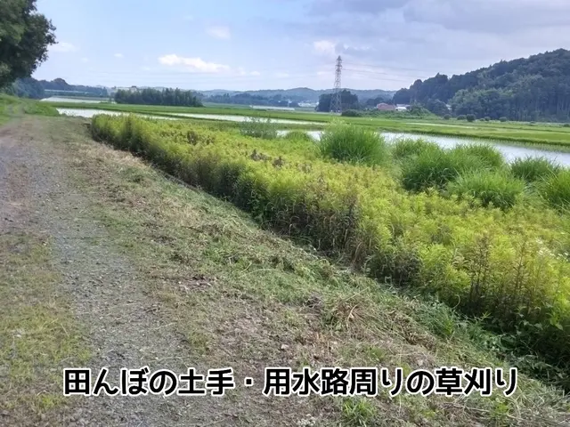 企業・お庭・空き地・墓地・太陽光発電敷地・田んぼや畑など【年間管理もご対応可能】サービスの画像