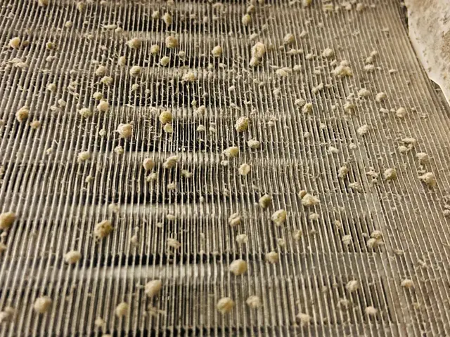 【業歴24年のプロ】◎損害保険加入済み！非喫煙者。岐阜市長良発　★電気工事士サービスの画像