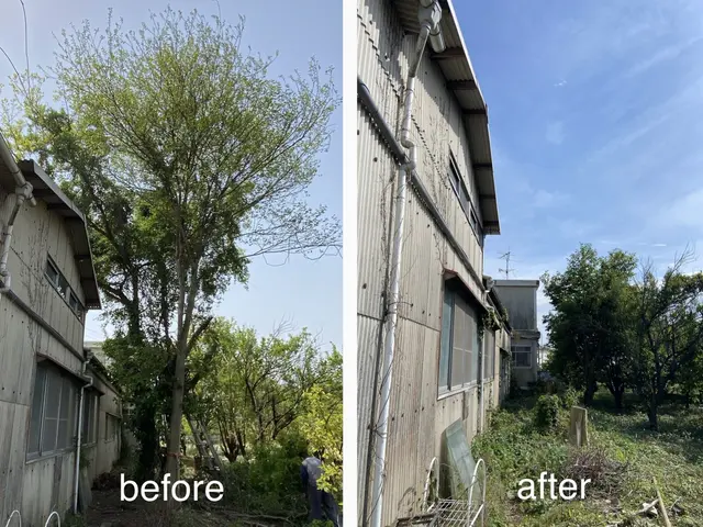 庭木伐採・抜根｜ふじみ野の伐採専門サービス｜迅速対応・安心価格｜口コミ4.8以上サービスの画像