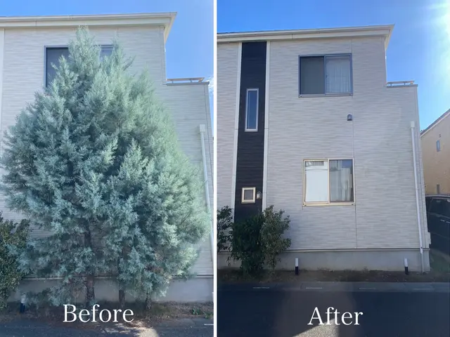 高木伐採・抜根の専門職人｜安全施工＆確実仕上げ・川越市ふじみ野市対応 丁寧安心！サービスの画像