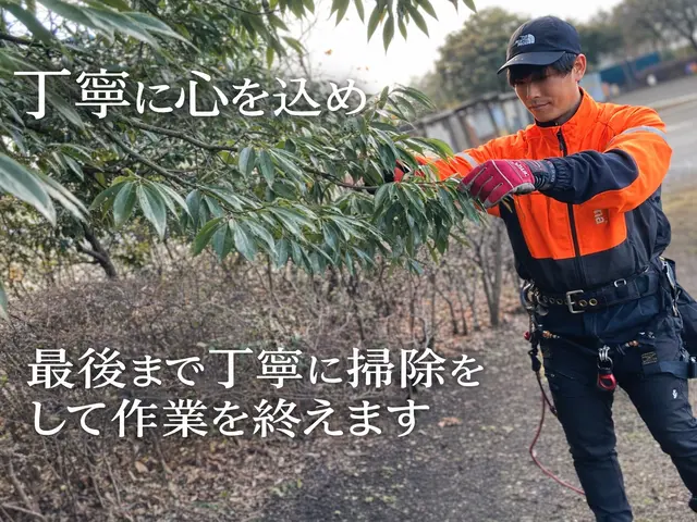 【4月中お値引き有り】ロープ作業で安全｜追加料金なし｜即日対応・安心安全施工サービスの画像