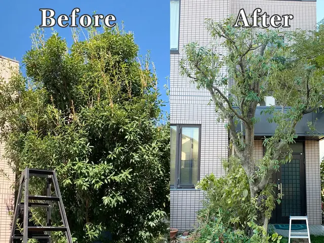 お庭の剪定！さっぱり綺麗に致します。サービスの画像