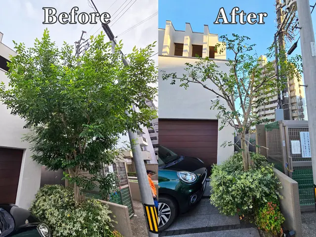 お庭の剪定！さっぱり綺麗に致します。サービスの画像