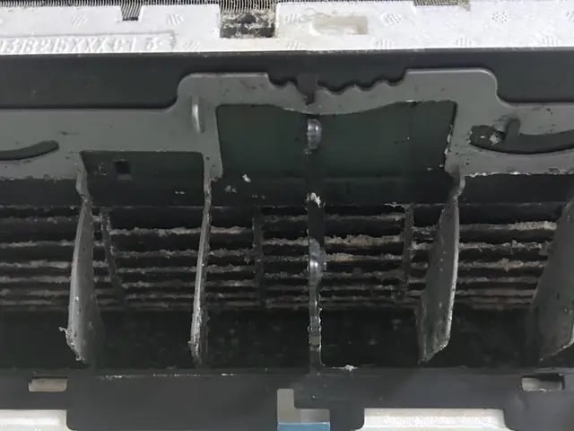 <即日予約OK> 10/1〜10/31 大感謝キャンペーン実施中サービスの画像