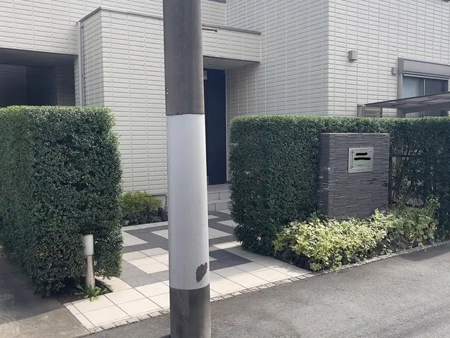 見た目だけでなく、育ちやすさも考えた剪定を行います。サービスの画像