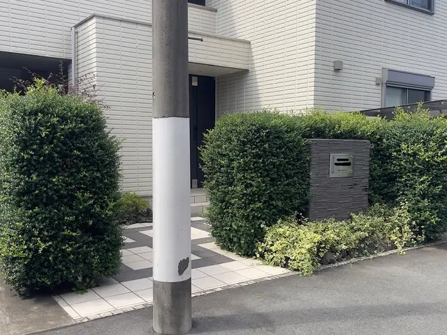 見た目だけでなく、育ちやすさも考えた剪定を行います。サービスの画像