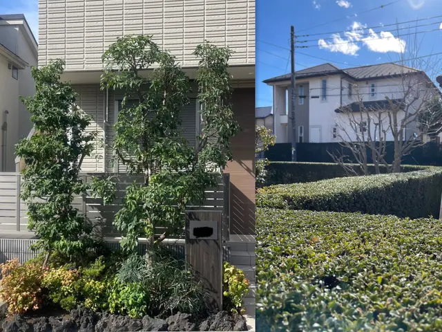 見た目だけでなく、育ちやすさも考えた剪定を行います。サービスの画像