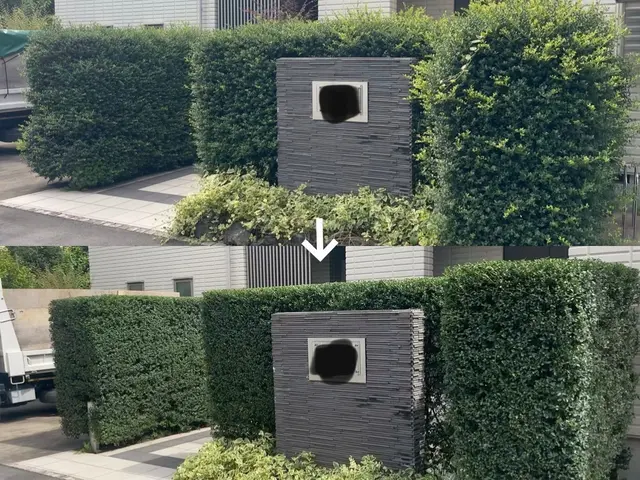 見た目だけでなく、育ちやすさも考えた剪定を行います。サービスの画像