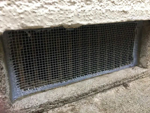 ←店長の私が駆除します。ハクビシン施工実績1000件！【調査見積無料】東京神奈川サービスの画像