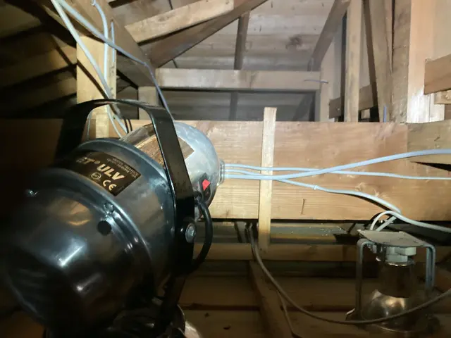 ←店長の私が駆除します。ハクビシン施工実績1000件！【調査見積無料】東京神奈川サービスの画像