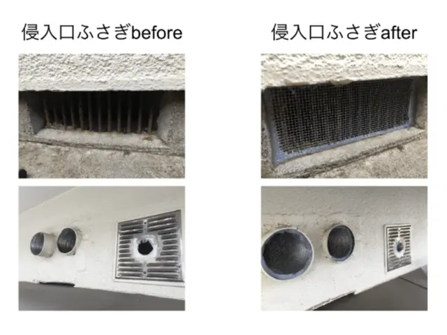 ←店長の私が駆除します。ハクビシン施工実績1000件！【調査見積無料】東京神奈川サービスの画像