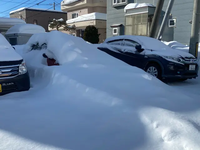 ☆シーズン除雪受付中☆必ず週1〜伺う！雪かき雪おろし！口コミ高評価継続！サービスの画像