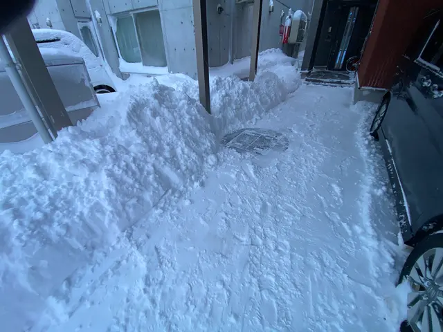 【口コミ高評価】安心して任せられる雪かき｜ASH（キャンペーン実施中！）サービスの画像
