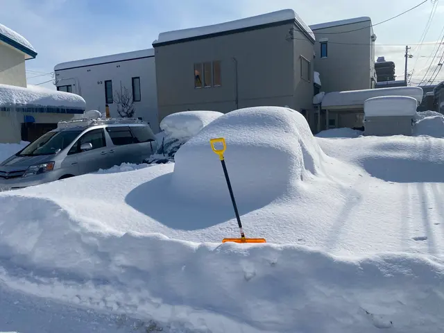 【口コミ高評価】安心して任せられる雪かきと雪おろし！｜ASH雪かき隊サービスの画像