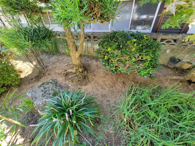 【実績多数!】お庭の草むしり!仕上がりキレイ!【お気軽にお問い合わせください!】サービスの画像