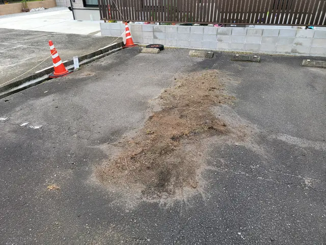 【実績多数!】お庭の草むしり!仕上がりキレイ!【お気軽にお問い合わせください!】サービスの画像