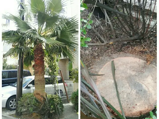 ★圧倒的な作業実績あり★　手早い仕事で安心を♪　特急作業も承ります！！サービスの画像