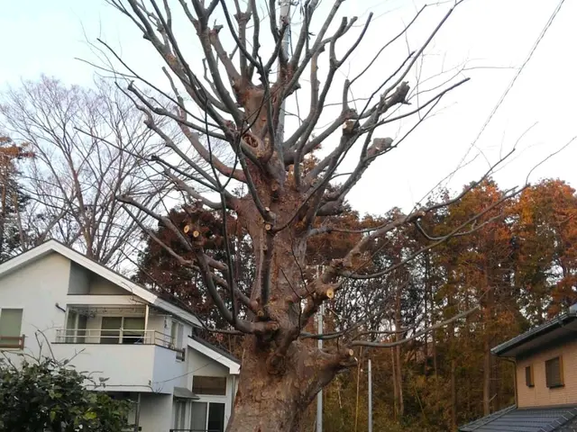 ★圧倒的な作業実績あり★　手早い仕事で安心を♪　特急作業も承ります！！サービスの画像