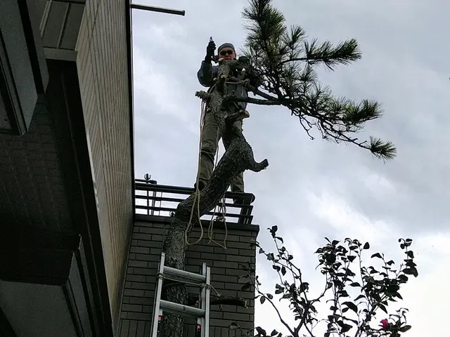 ★圧倒的な作業実績あり★　手早い仕事で安心を♪　特急作業も承ります！！サービスの画像