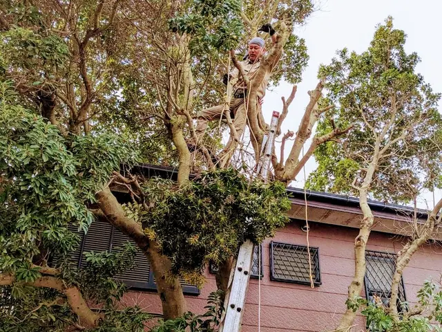 ★圧倒的な作業実績あり★　手早い仕事で安心を♪　特急作業も承ります！！サービスの画像