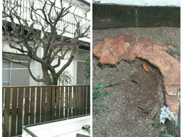 ★圧倒的な作業実績あり★　手早い仕事で安心を♪　特急作業も承ります！！サービスの画像