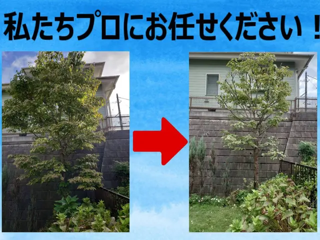 機械草刈り機で超スッキリ!!近隣トラブルや防犯、害虫対策にも!立ち会い不用OK!サービスの画像