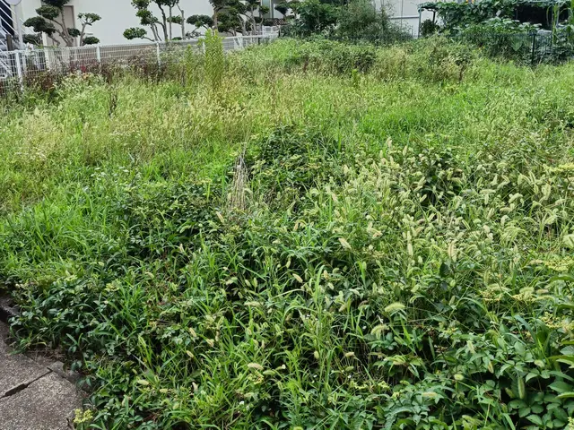 機械草刈り機で超スッキリ!!近隣トラブルや防犯、害虫対策にも!立ち会い不用OK!サービスの画像