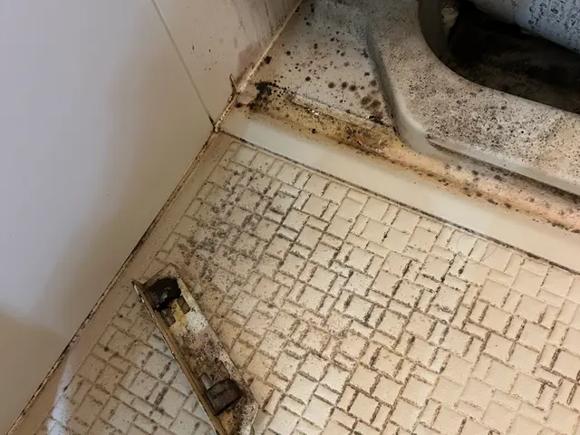 【完全自社施工】実績多数のプロがお伺いしますサービスの画像