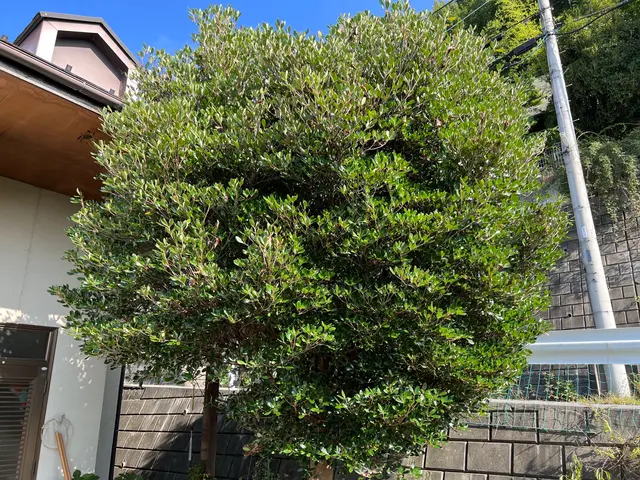 【業歴12年の実績】年中無休◎店長の私が迅速丁寧に対応いたしますサービスの画像