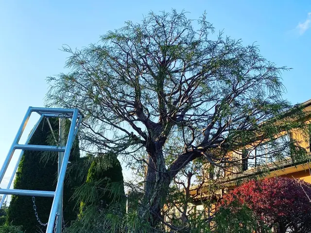 【業歴12年の実績】年中無休◎店長の私が迅速丁寧に対応いたしますサービスの画像