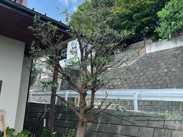 【業歴12年の実績】年中無休◎店長の私が迅速丁寧に対応いたしますサービスの画像