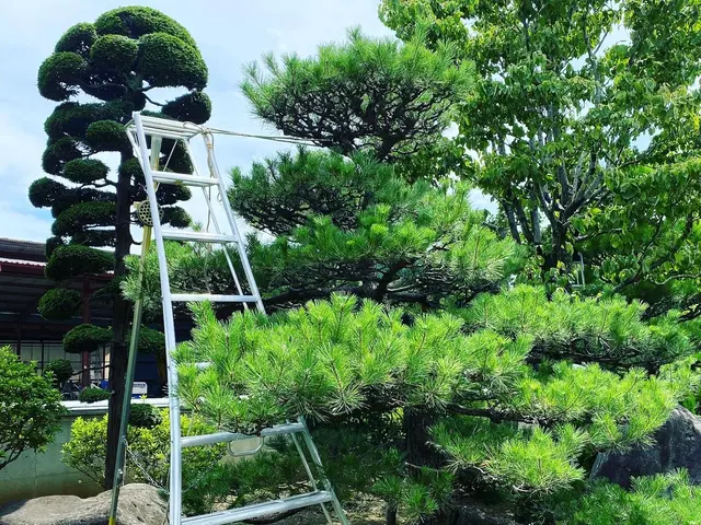 【業歴12年の実績】年中無休◎店長の私が迅速丁寧に対応いたしますサービスの画像