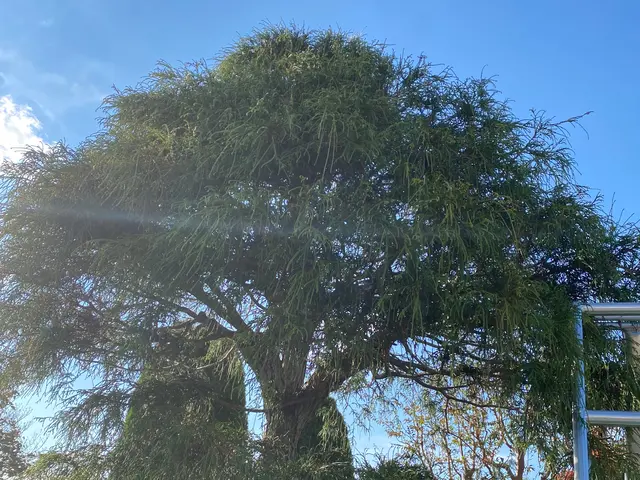 【業歴12年の実績】年中無休◎店長の私が迅速丁寧に対応いたしますサービスの画像